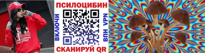 Псилоцибиновые грибы мухоморы цена наркотик hydra сайт Верхотурье