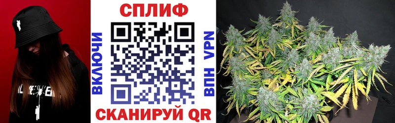 Канабис VHQ  купить закладку  Верхотурье 